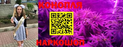 mdma Кингисепп