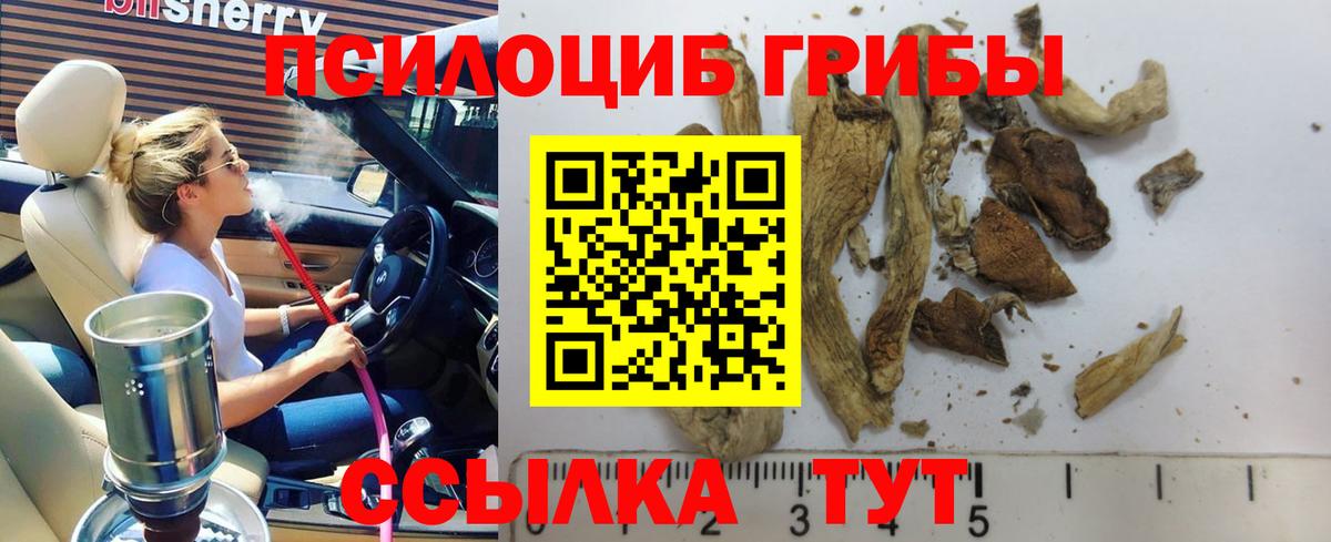 Псилоцибиновые грибы GOLDEN TEACHER Каспийск